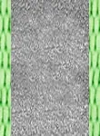 Light Green Light Green