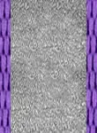 Violet Violet
