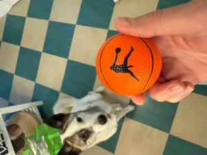 CustomPromoNow.co.uk