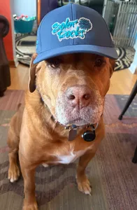 CustomPromoNow.co.uk - Full Color TPU