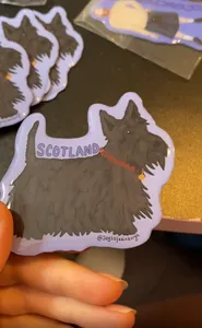 CustomPromoNow.co.uk