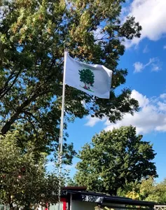 CustomPromoNow.co.uk - Rectangle Flag