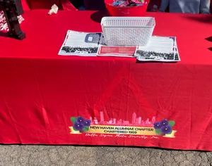 CustomPromoNow.co.uk - Custom Rectangle Table Covers