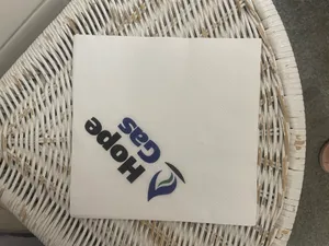 CustomPromoNow.co.uk - Custom Paper Luncheon Napkins