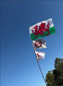 CustomPromoNow.co.uk - Rectangle Flag