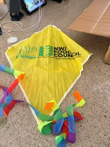CustomPromoNow.co.uk - Diamond Kites