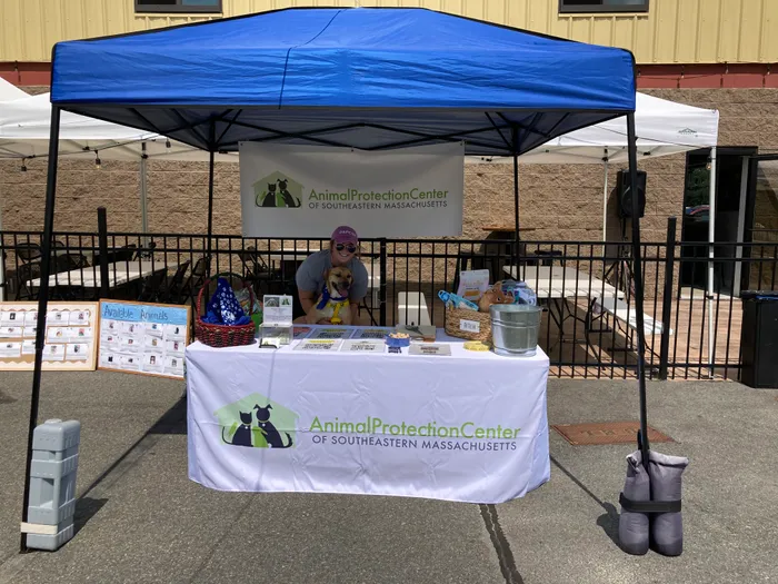 CustomPromoNow.co.uk