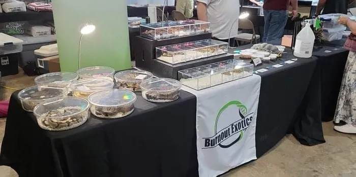 CustomPromoNow.co.uk