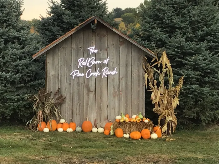 CustomPromoNow.co.uk