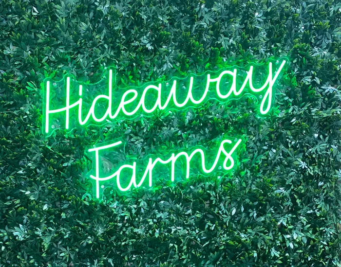 CustomPromoNow.co.uk