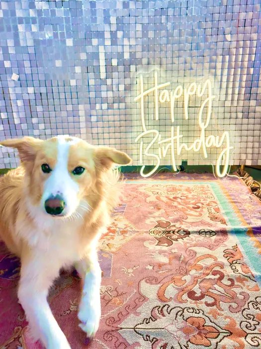 CustomPromoNow.co.uk - Custom Neon Sign