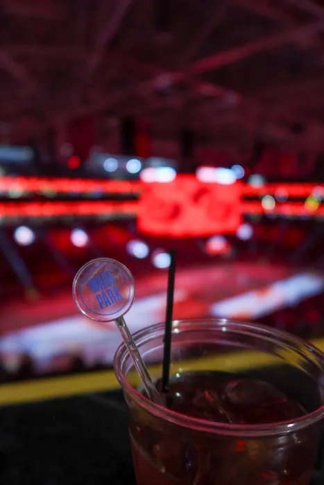 CustomPromoNow.co.uk - Transparent Stir Sticks