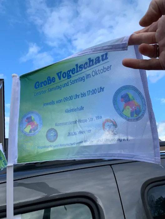 CustomPromoNow.co.uk - Car Flag