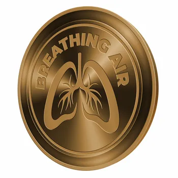 Challenge Coins - Custom Promo Now - UK