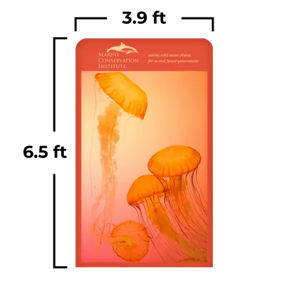 3.9 x 6.5 ft 3.9 x 6.5 ft - Custom Promo Now - UK