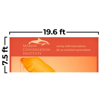 19.6 x 7.5ft 19.6 x 7.5ft - Custom Promo Now - UK