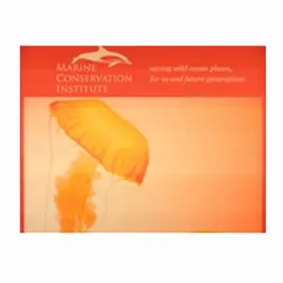 None None - Custom Promo Now - UK