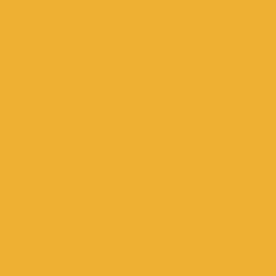 Orange - Custom Promo Now - UK