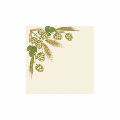 6.5 in x 6.5 in - Custom Promo Now - UK