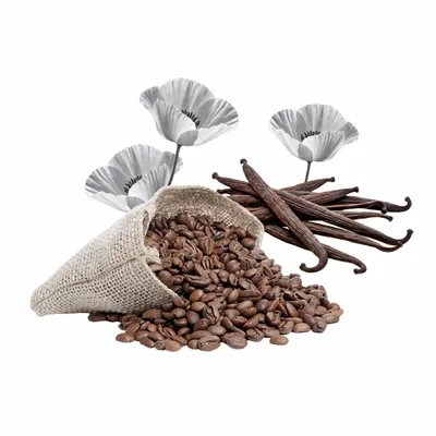 Black Opium - Custom Promo Now - UK