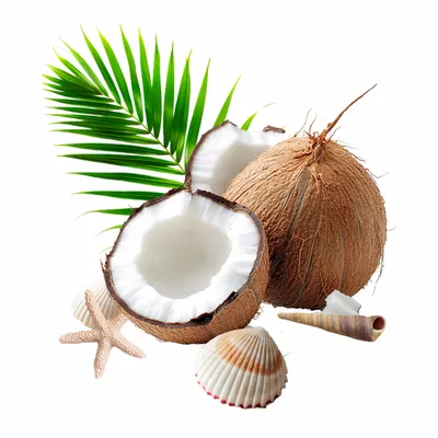 Coconut - Custom Promo Now - UK