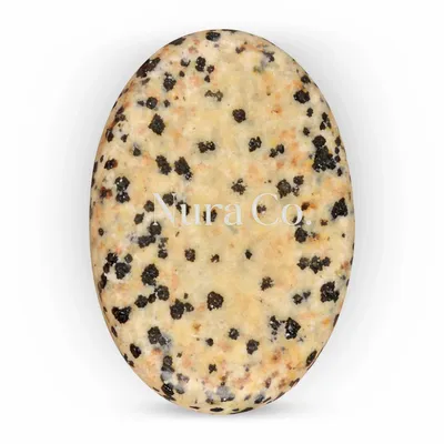 Dalmatian - Custom Promo Now - UK