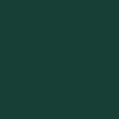 Forest Green - Custom Promo Now - UK