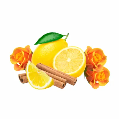 Amber - Custom Promo Now - UK