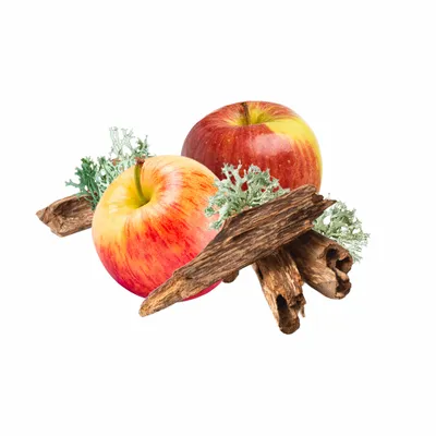 Oak Moss - Custom Promo Now - UK