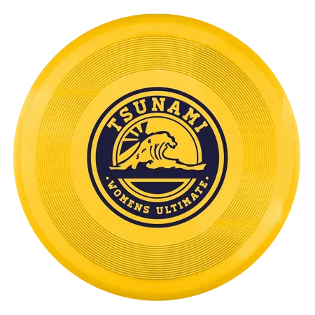 Disco Volador - Custom Promo Now - UK