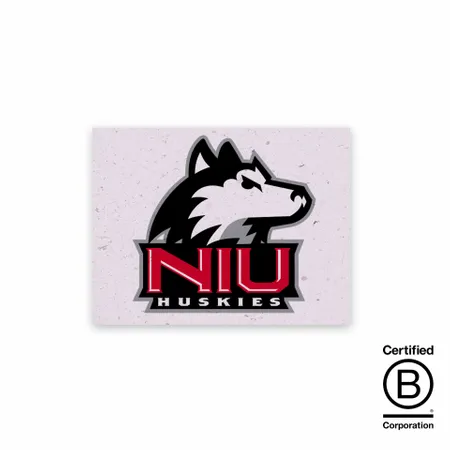 Seed Paper Panel Cards - Custom Promo Now - UK