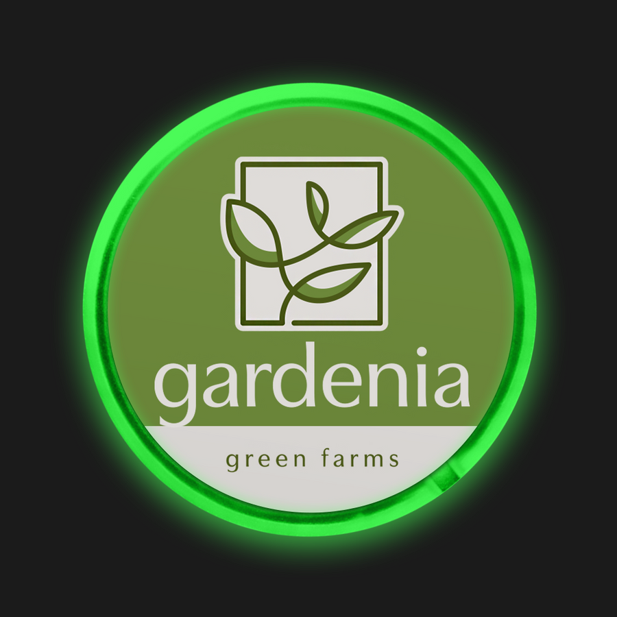 Light Button Pins - Custom Promo Now - UK