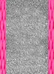 Hot Pink Hot Pink